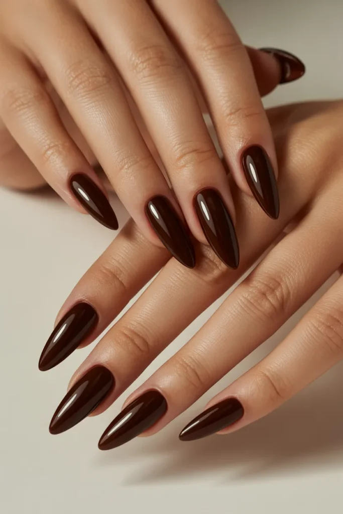 Long stiletto nails in dark chocolate brown