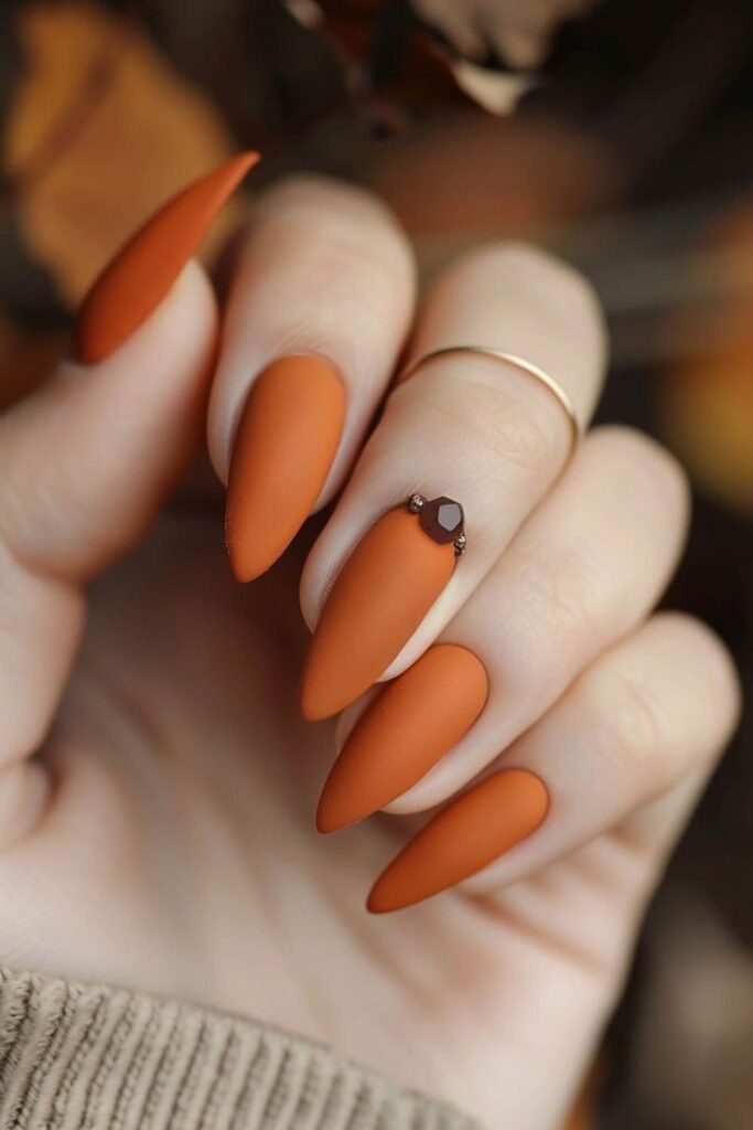 Cozy Spice Matte