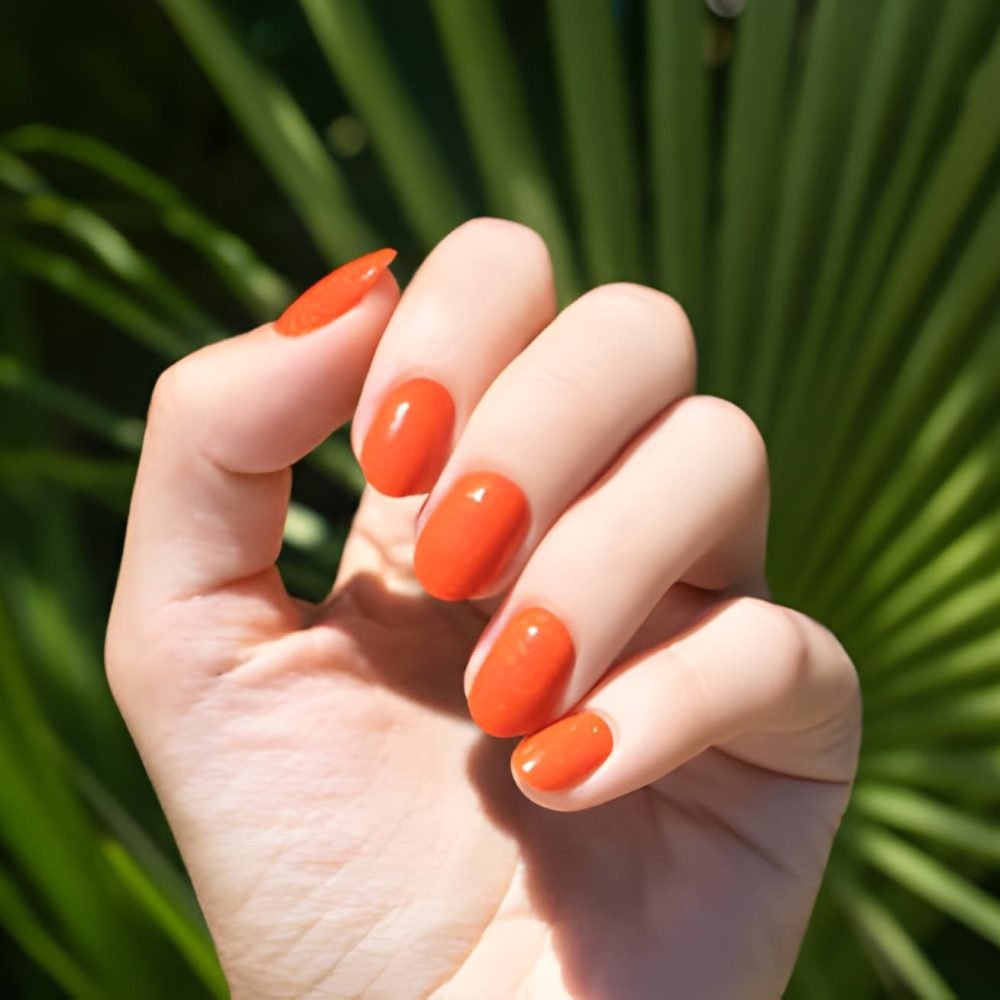 steptodown.com227281